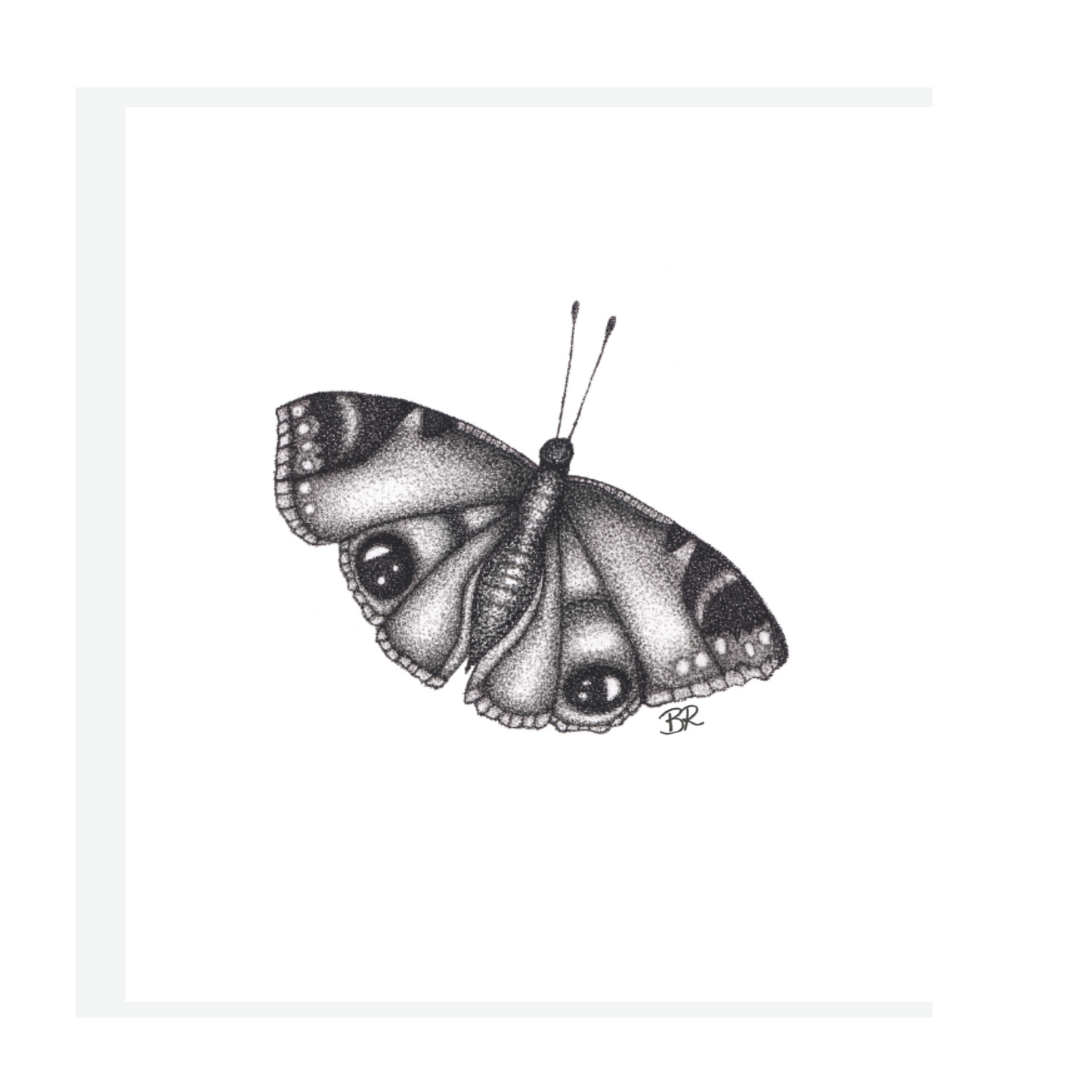 Butterfly Art Print