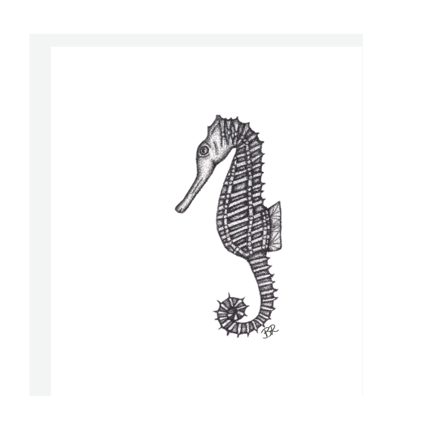 Seahorse Art Print
