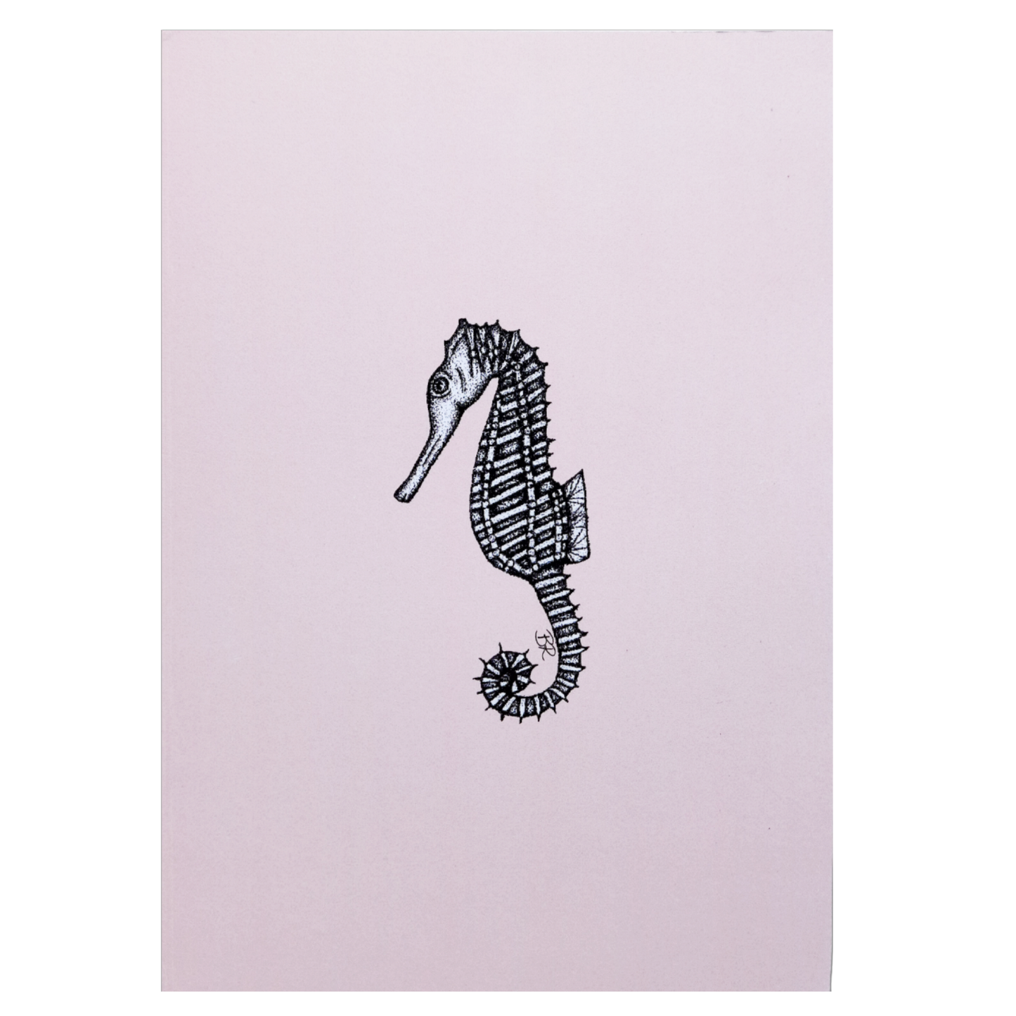 seahorse a5 notebook