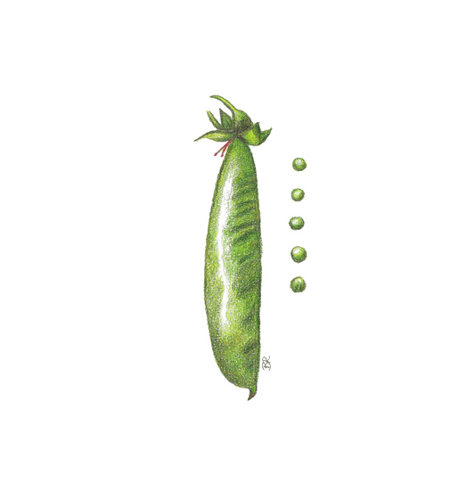 White Printed A5 Paper Front