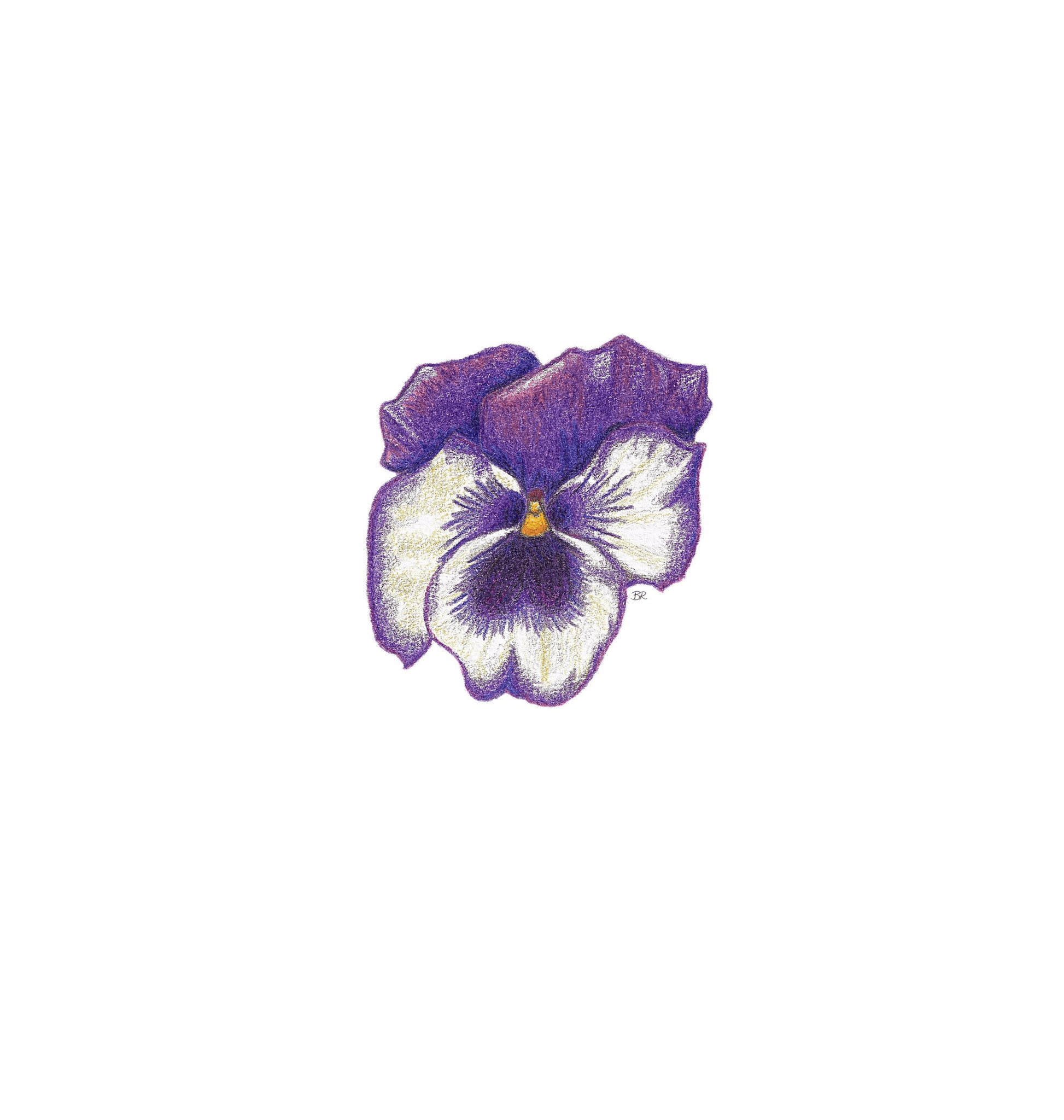 White Printed A5 Paper Front