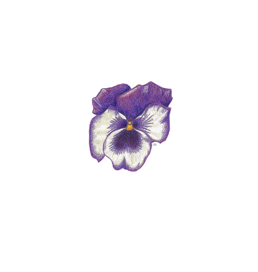 White Printed A5 Paper Front