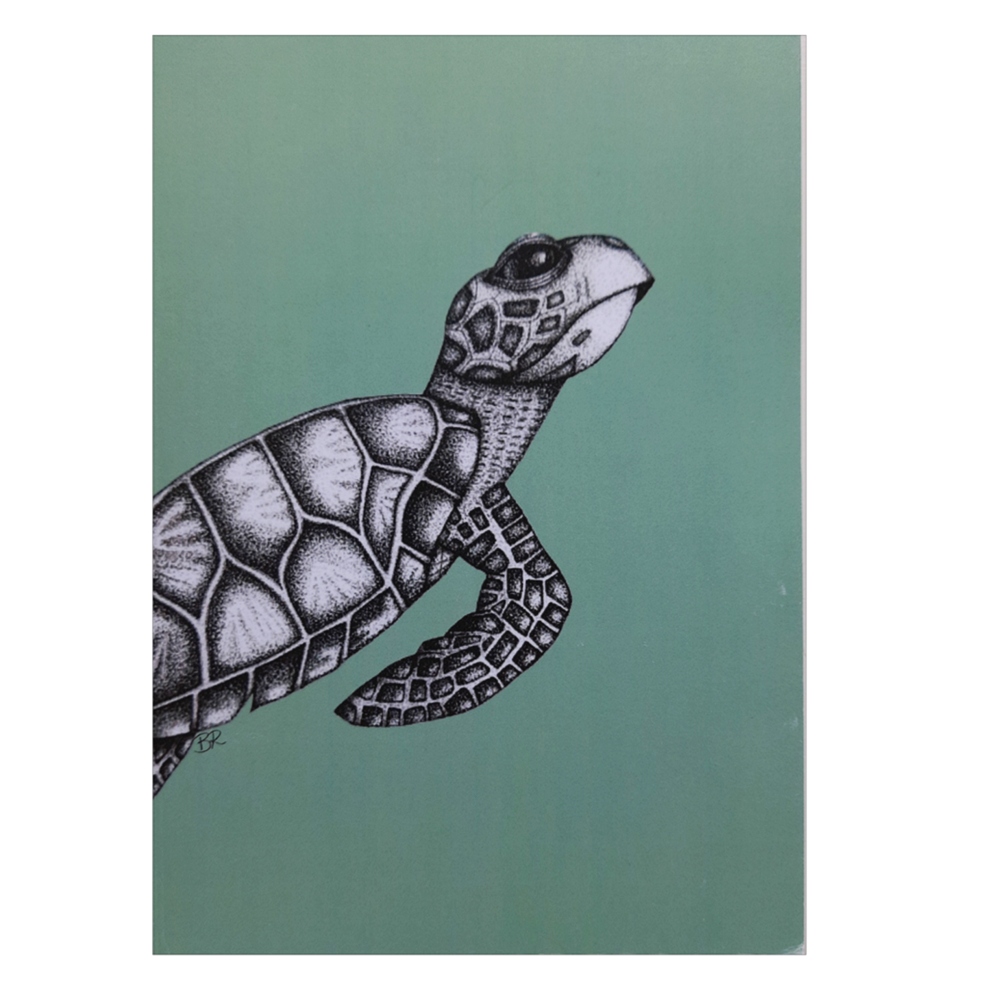 hawksbill turtle green notebook A5 lined notebook