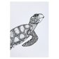 Hawksbill Turtle A5 Notebook Plain