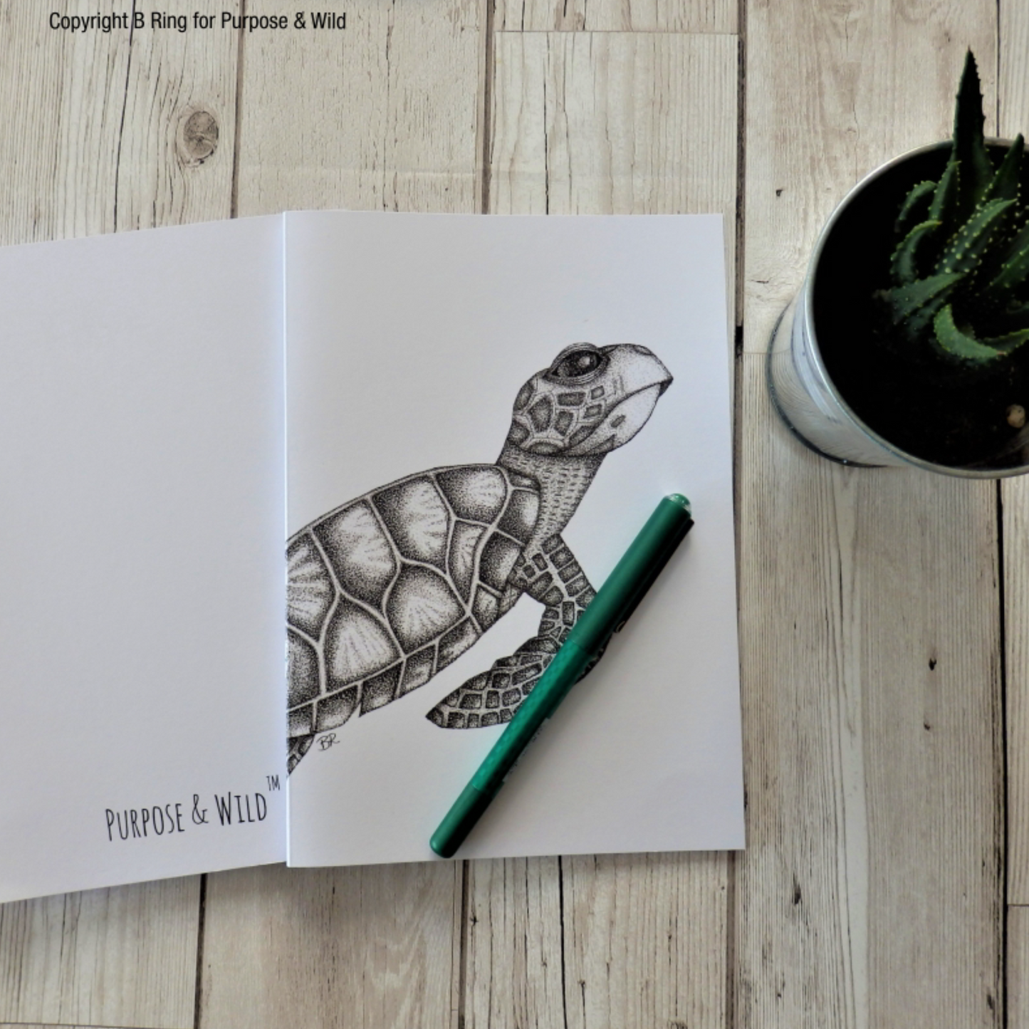 Hawksbill Turtle A5 Notebook Plain